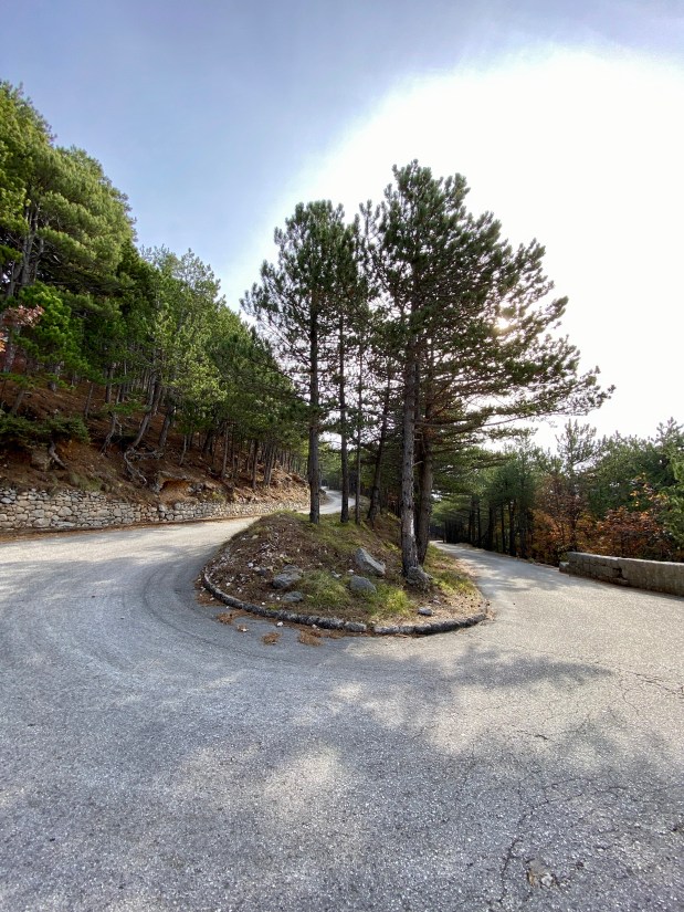 Hairpin road in forest Croatia